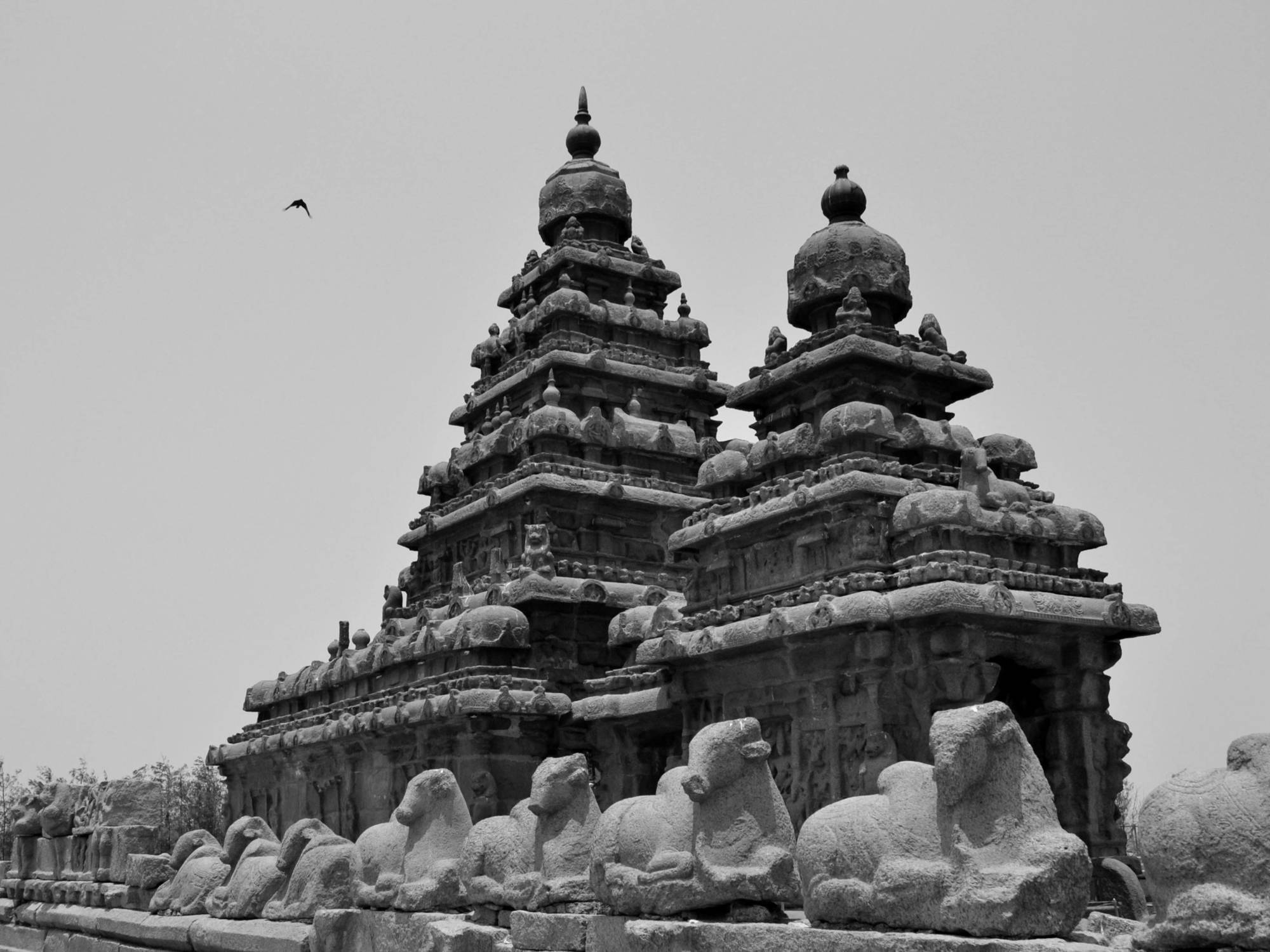 Sea Breeze Beach Resort Mahabalipuram Extérieur photo